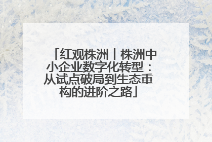 红观株洲丨株洲中小企业数字化转型：从试点破局到生态重构的进阶之路